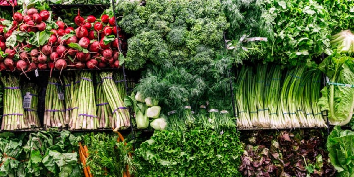 53 Medical Schools Now Require Nutrition Training for Doctors - Image 2