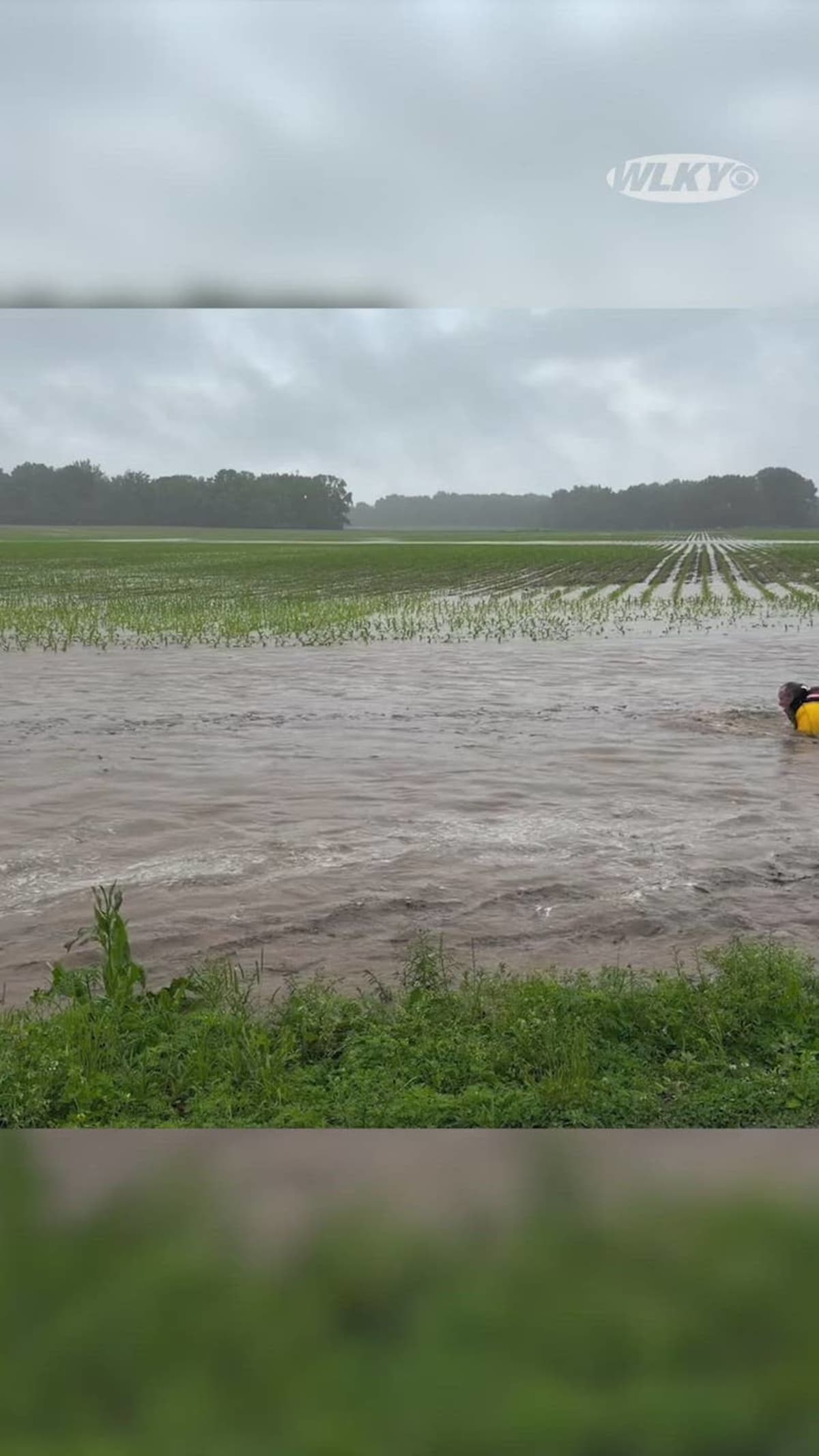 Indiana Firefighter Saves Baby Deer From Raging Floodwaters - Image 3