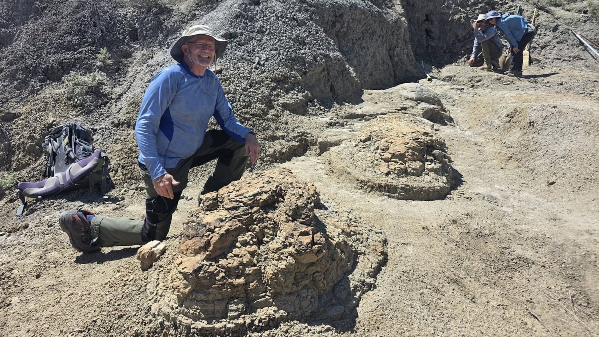 Three-foot-long T. Rex footprint fossil embedded in North Dakota rock formation