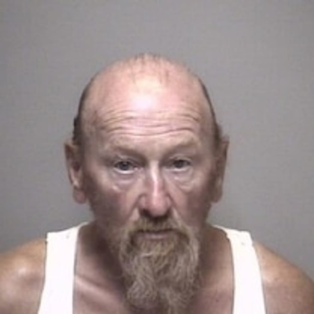 Bob's Burgers Actor Rescued From Fiery NH Crash - Image 4