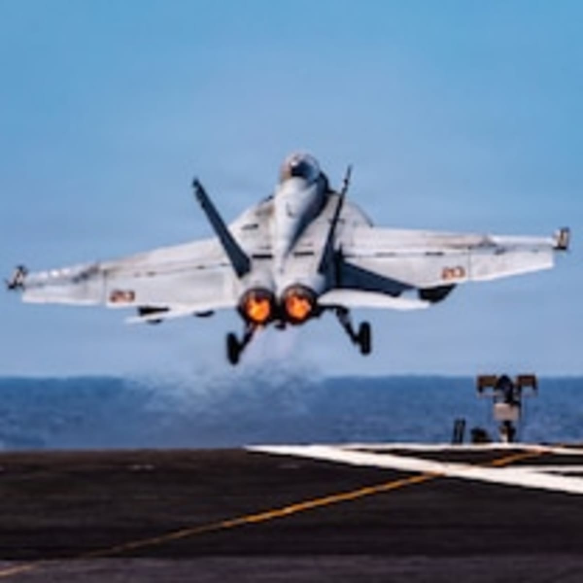 New 'Hell Heron' Dinosaur Found After 70-Year Sahara Quest - Image 4