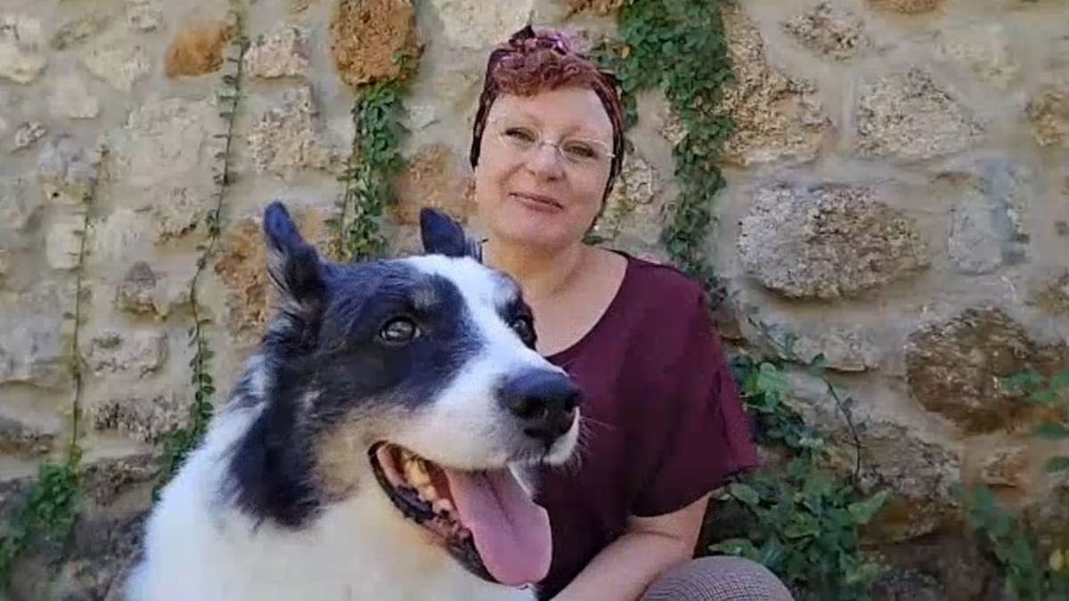 Dog Found 1,100 Miles From Home Thanks to Microchip