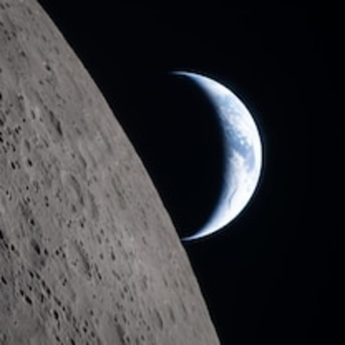 Poland's 'Frog Patrol' Saves 18,000 Amphibians From Traffic - Image 3