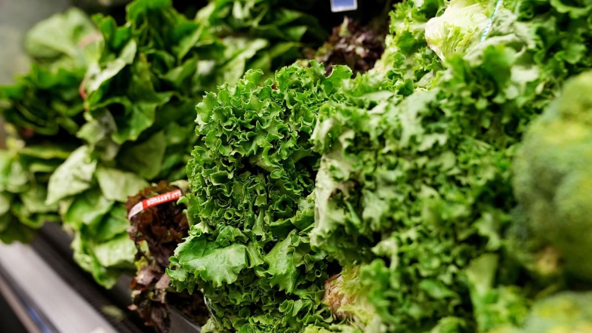 Fresh green lettuce displayed in grocery store produce section under bright lights