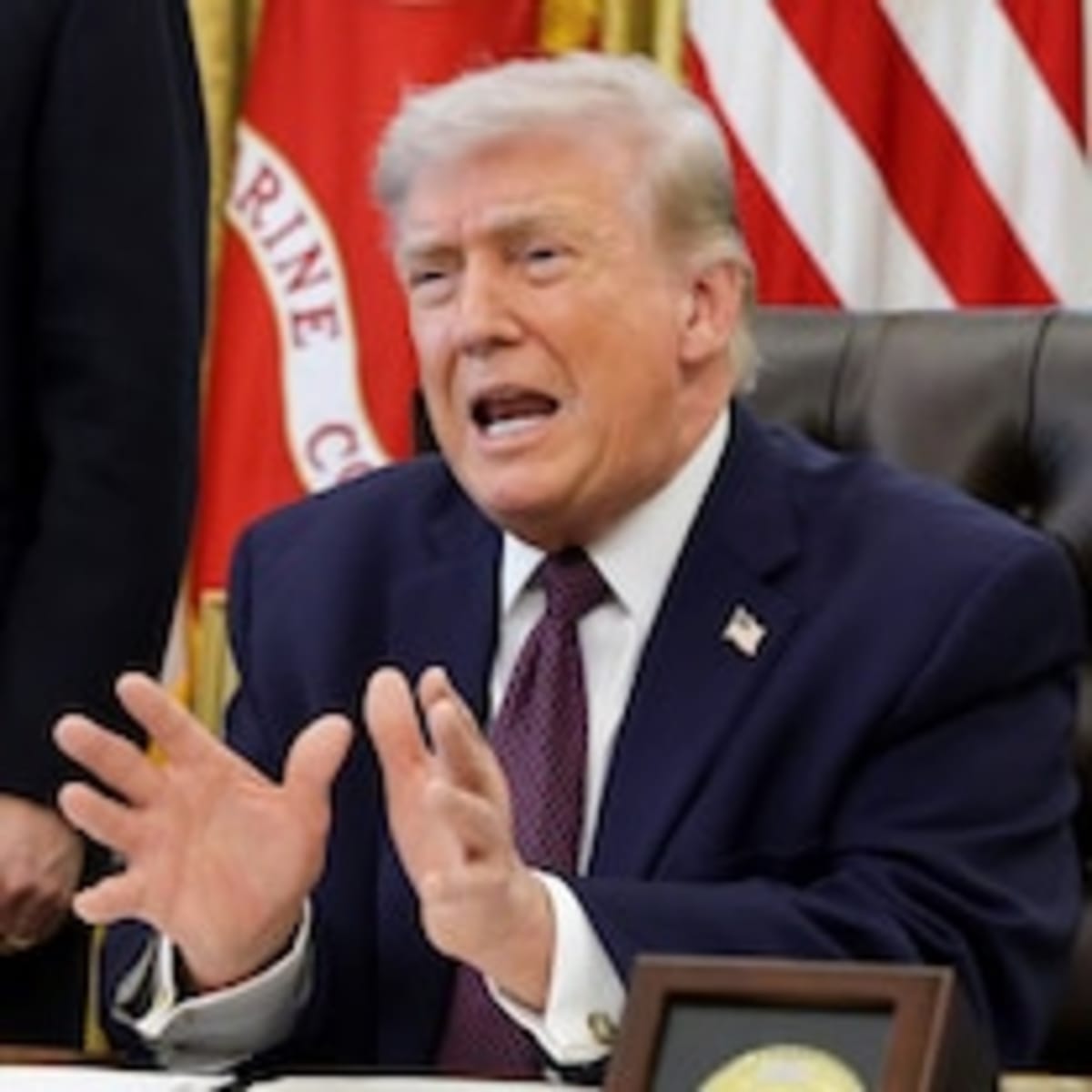 Bob's Burgers Actor Rescued From Fiery NH Crash - Image 5