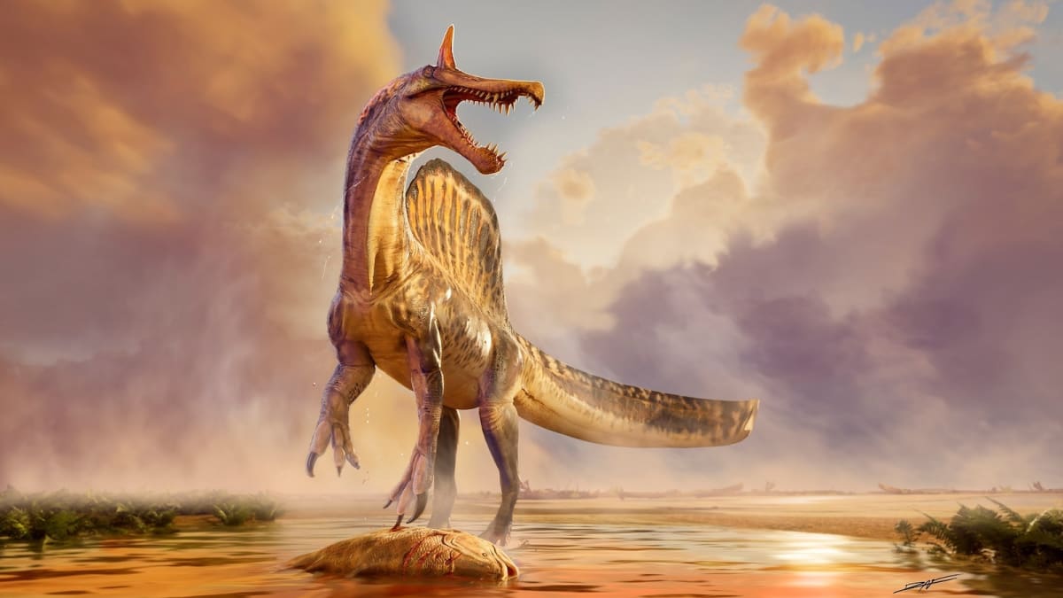 New 'Hell Heron' Dinosaur Found After 70-Year Sahara Quest