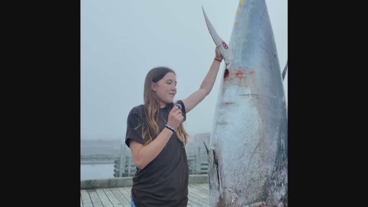 13-Year-Old Reels in Record 711-Pound Tuna in Nova Scotia - Image 3