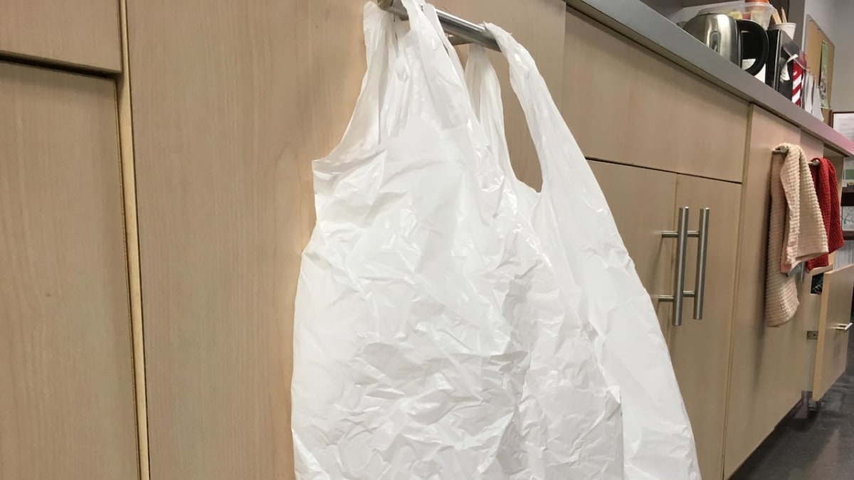 Edmonton's Plastic Ban Cuts Bag Use by 79% in 2 Years - Image 2