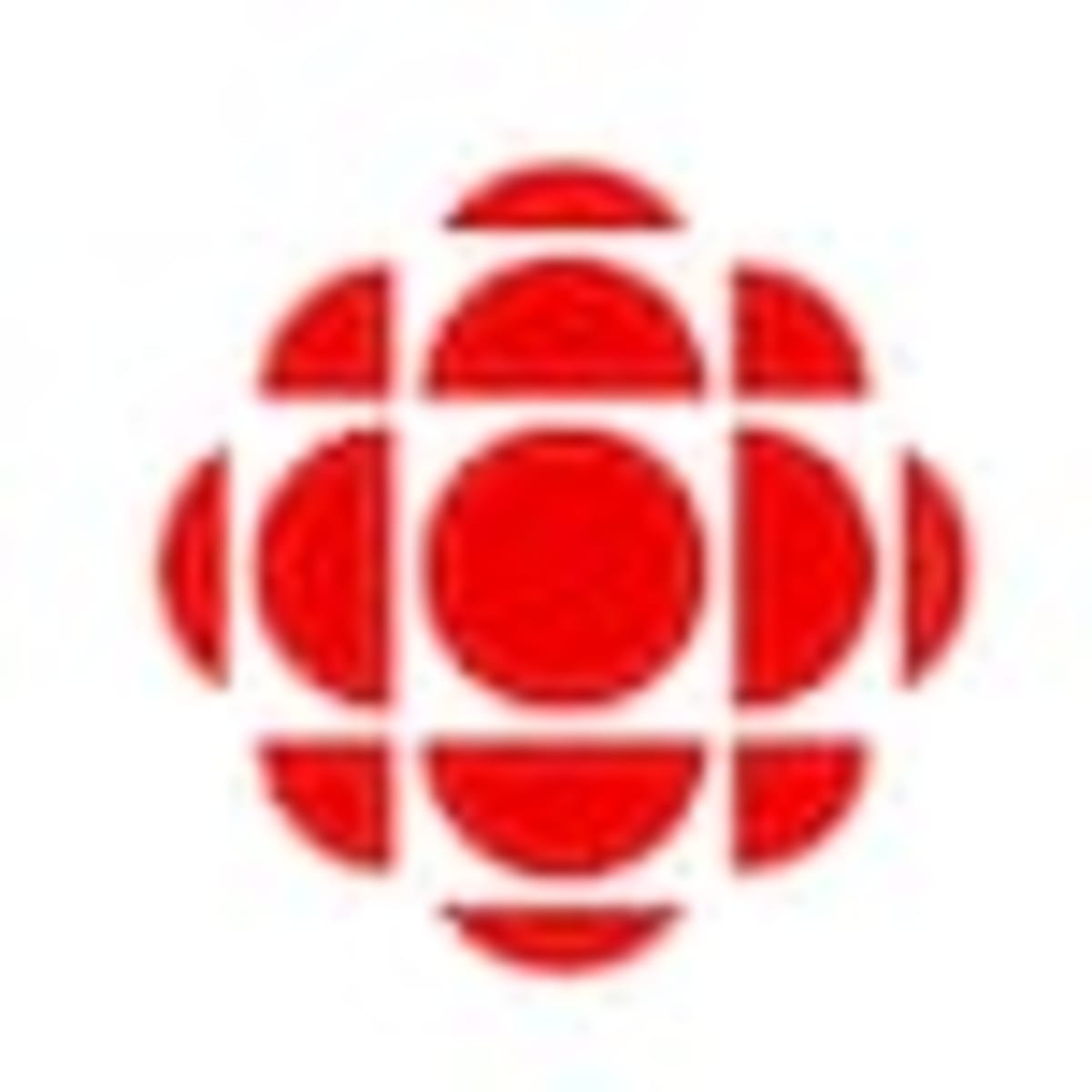 Man Finds Atlantic Canada's Oldest Fossils in His Backyard - Image 2