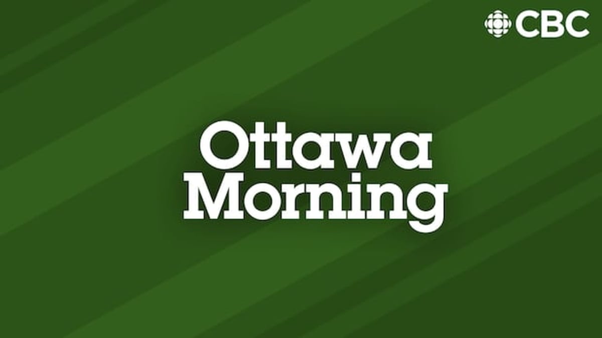 Ottawa Researchers Cut Tick Numbers by Half With Woodchips - Image 4