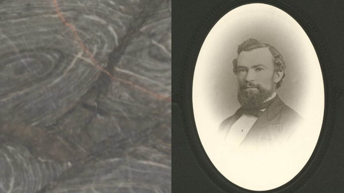 Man Finds Atlantic Canada's Oldest Fossils in His Backyard - Image 3