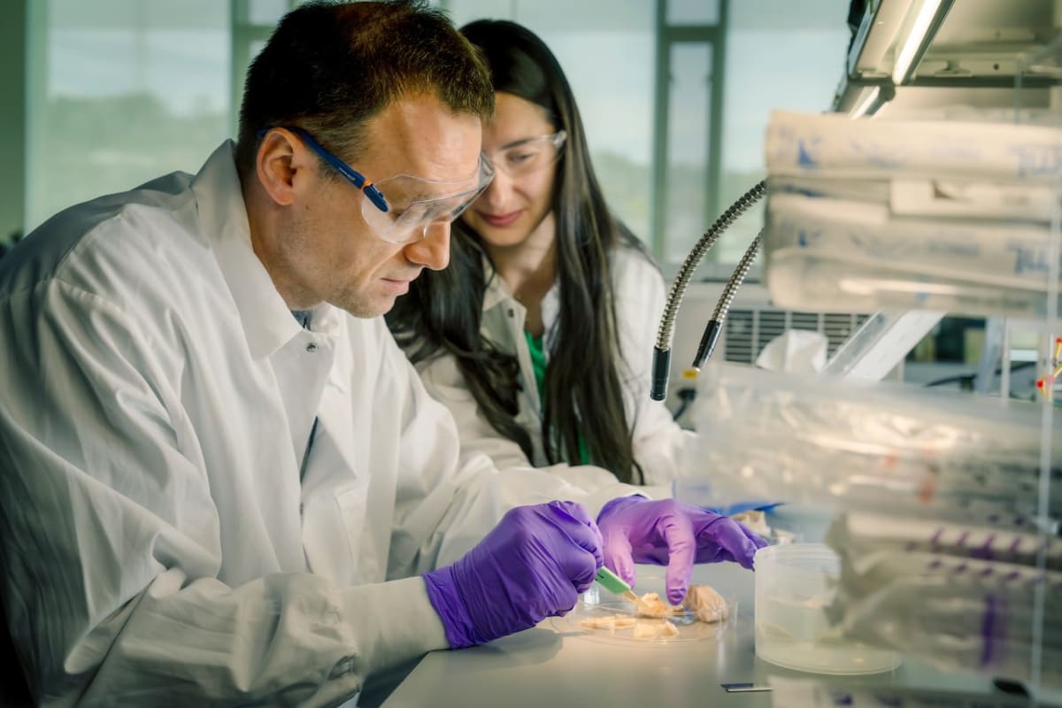 Scientist Racing to Cure Disease He'll One Day Develop - Image 5