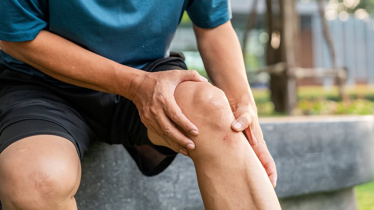 Medical illustration showing 3D-printed knee scaffold with regenerated cartilage and bone tissue