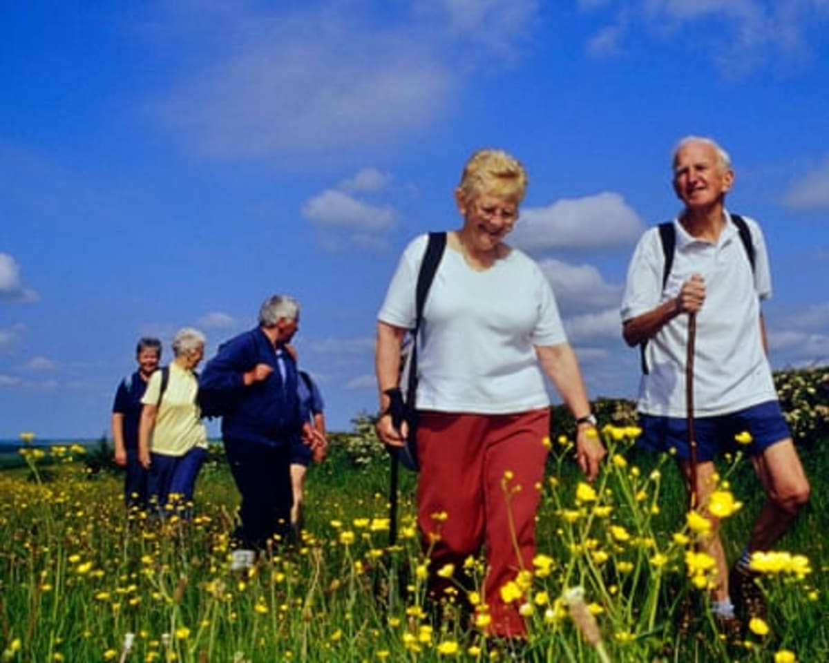 Statins Cut Dementia Risk 15% in 15-Year Study - Image 5