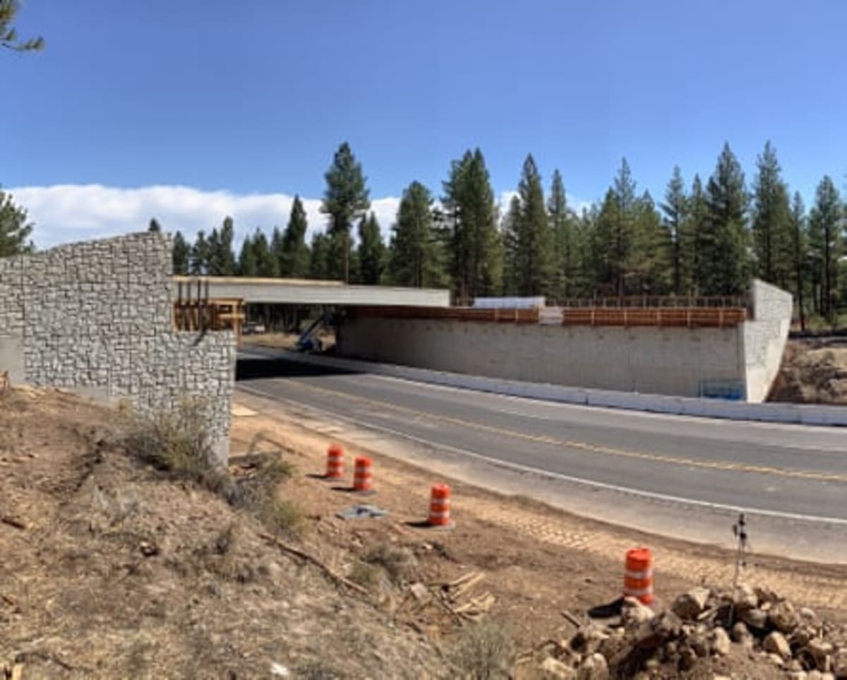 Deer Cross California's First Wildlife Bridge Before It Opens - Image 4