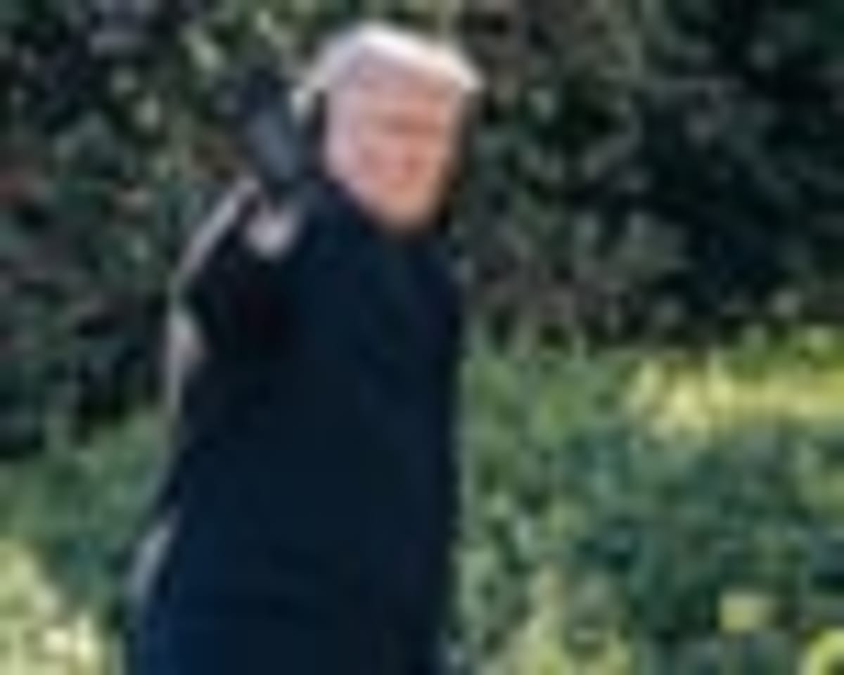 Python Molecule Helps Obese Mice Lose Weight Without Nausea - Image 5