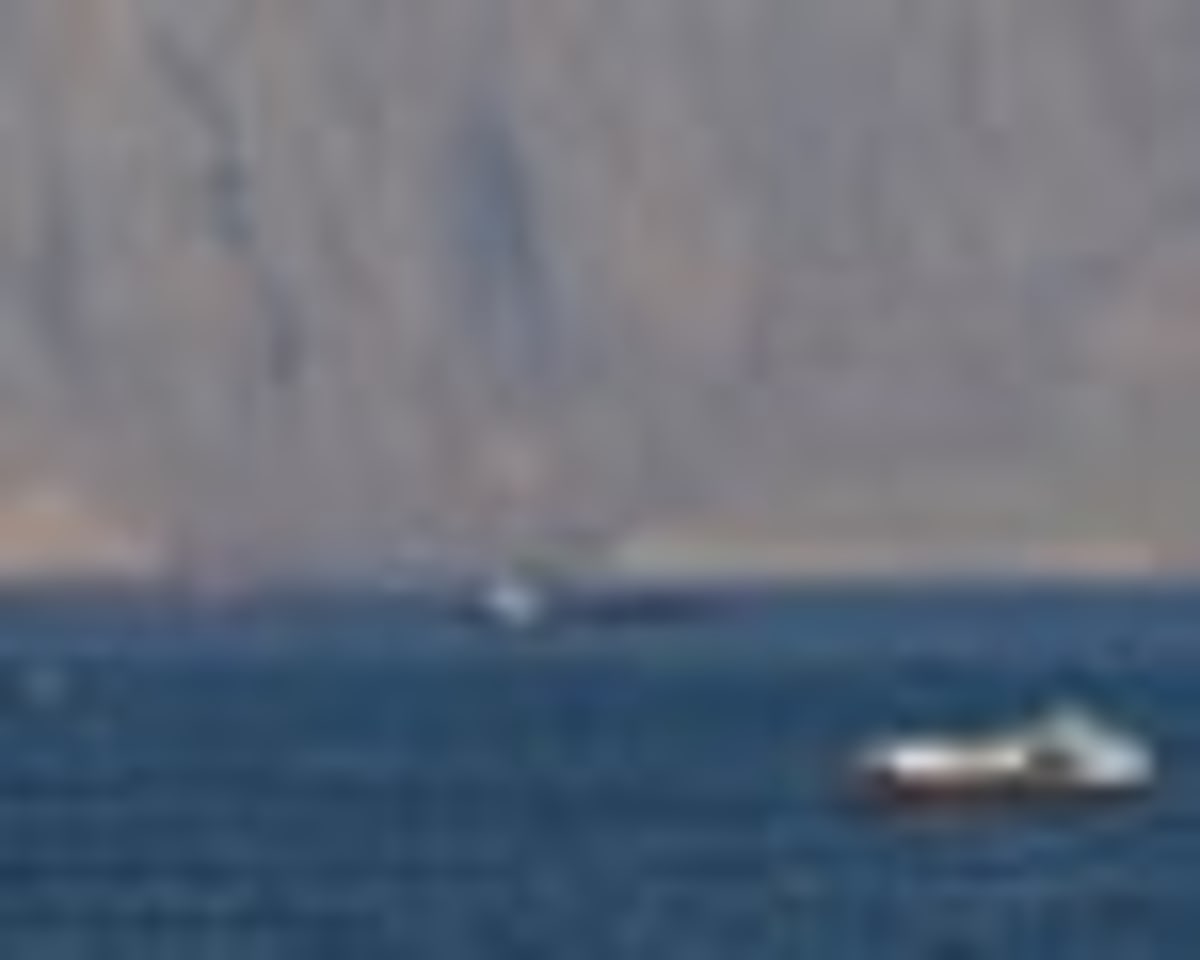 Scientists Say We Can Train Our Brains to See Hope - Image 4