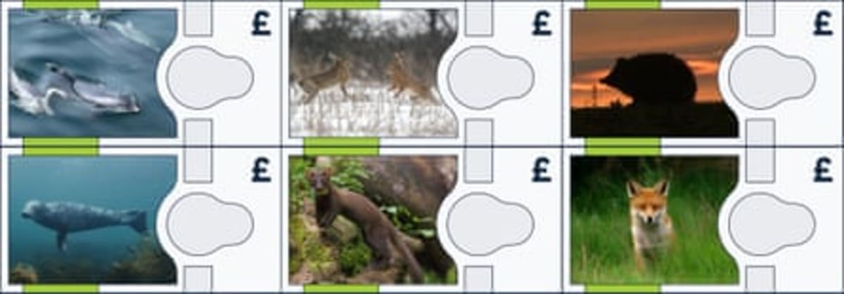 UK Banknotes May Soon Feature Puffins and Dolphins - Image 5