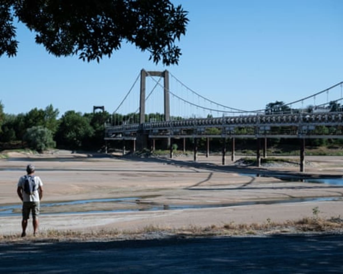 French Volunteers Rescue Thousands of Fish From Dried Rivers - Image 3