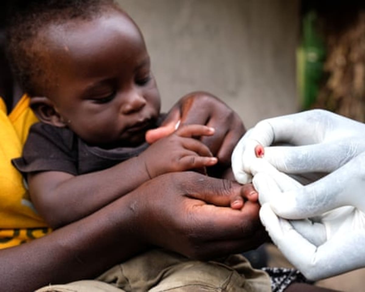 Catnip Lotion Works as Well as Deet Against Mosquitoes - Image 3
