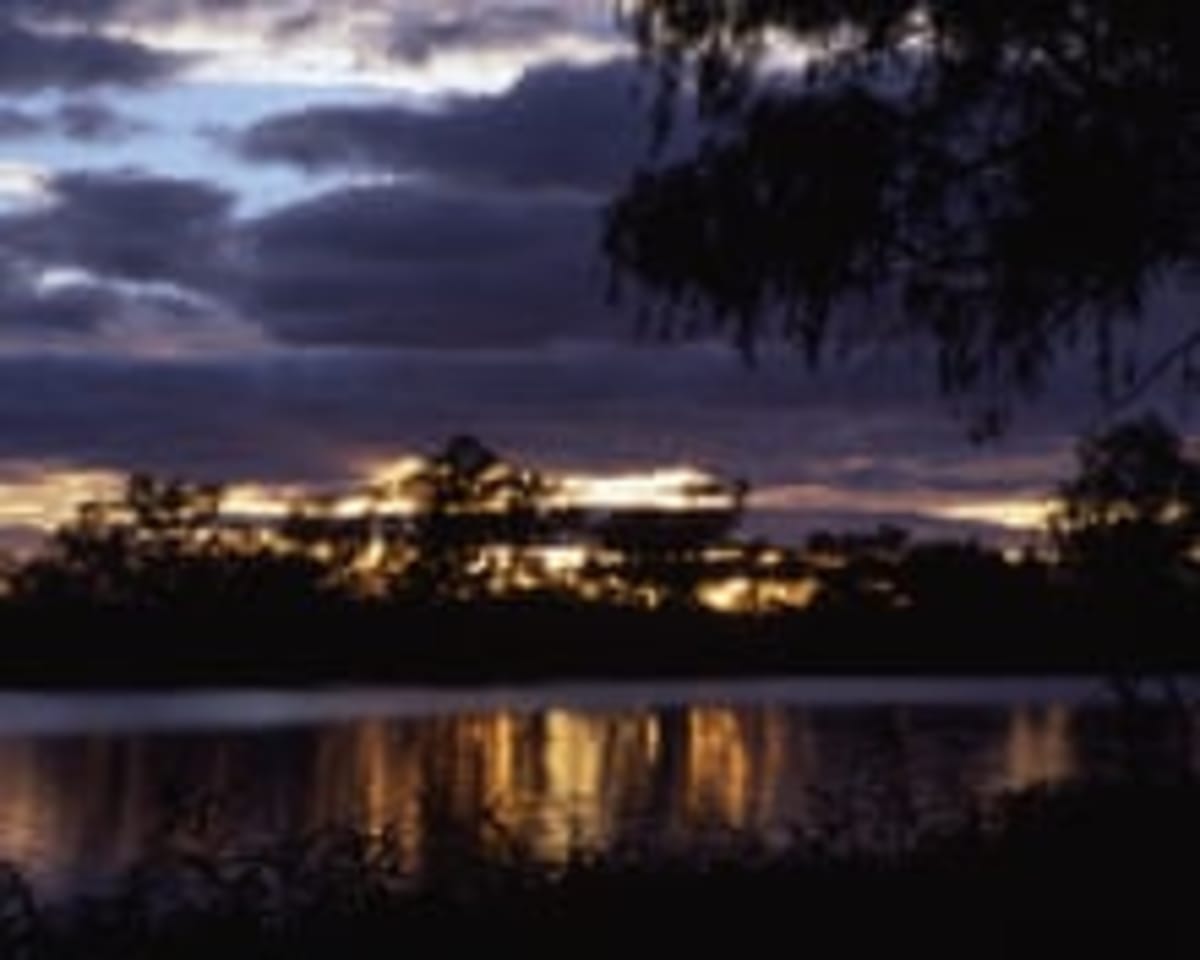Teen Surfer Flicks Off Shark, Rides Wave Back to Shore - Image 5