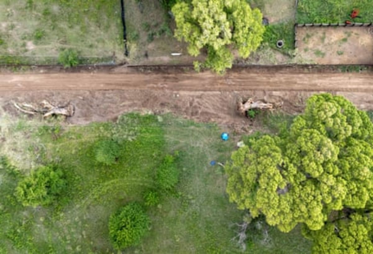 Arizona Tree-Sitters Save 200-Year-Old Cottonwood Grove - Image 3