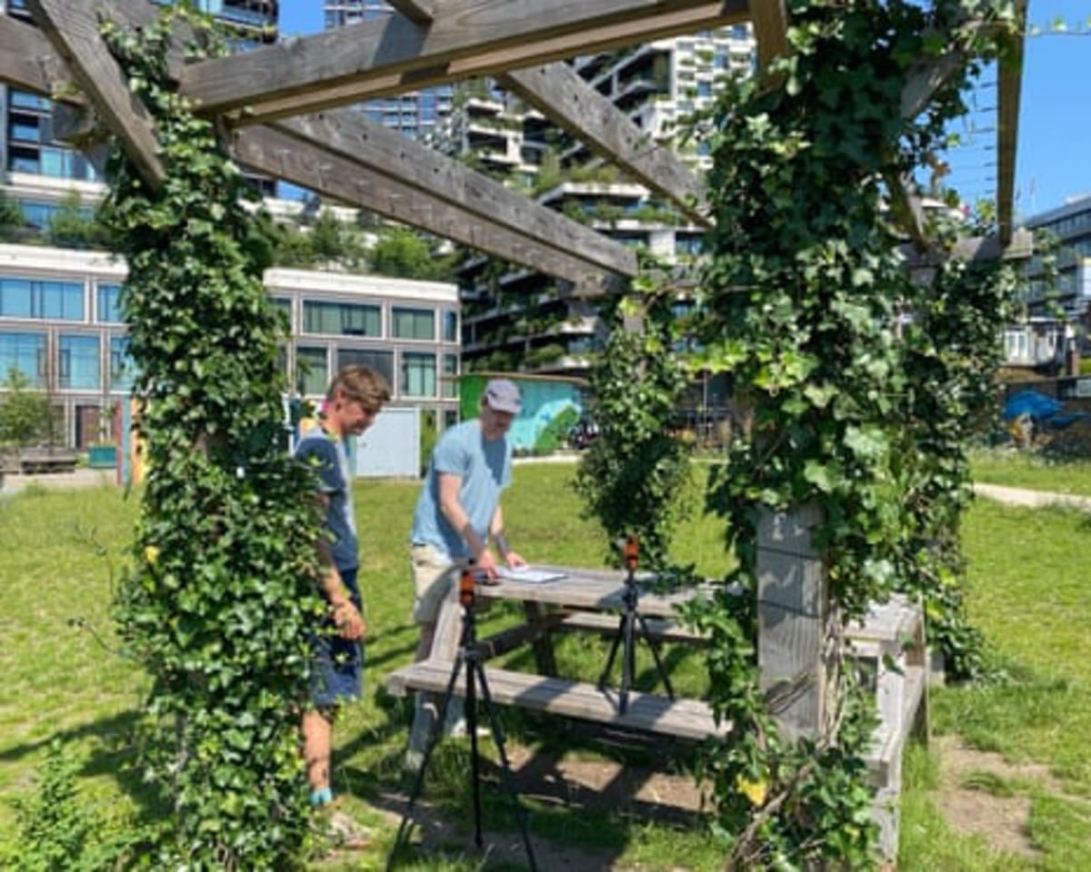 Dutch Cities Fight Heat With Outdoor Curtains and Fake Trees - Image 3