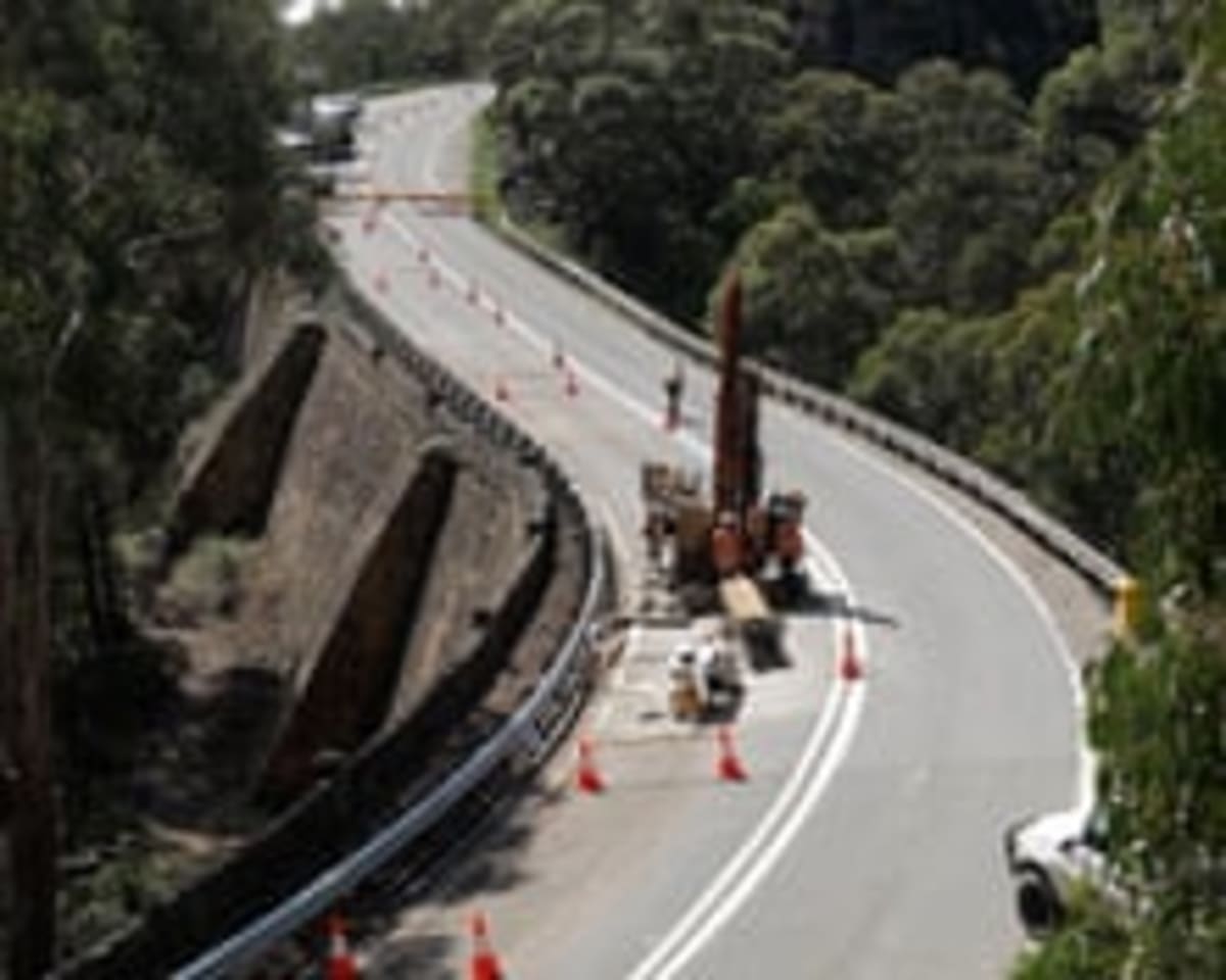 Australia Creates Park to Protect 12,000 Koalas - Image 5