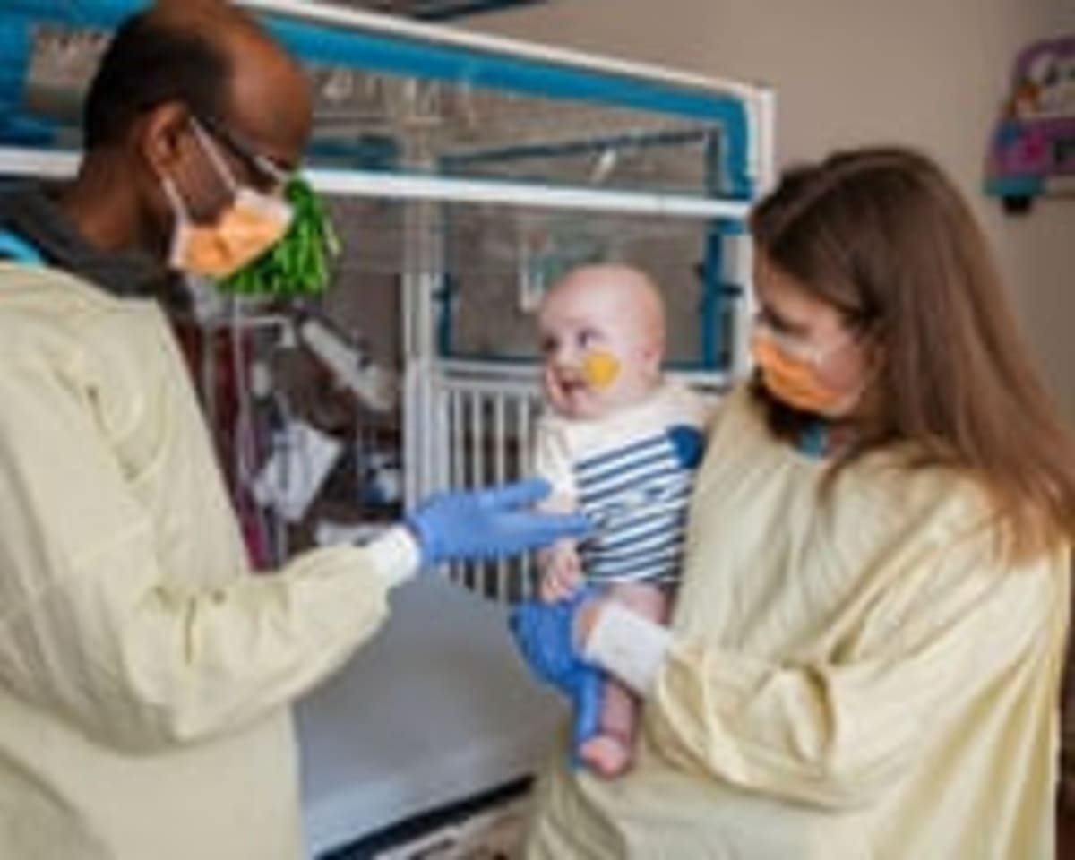 Gene-Edited Wheat Slashes Cancer Risk in Toasted Bread - Image 5