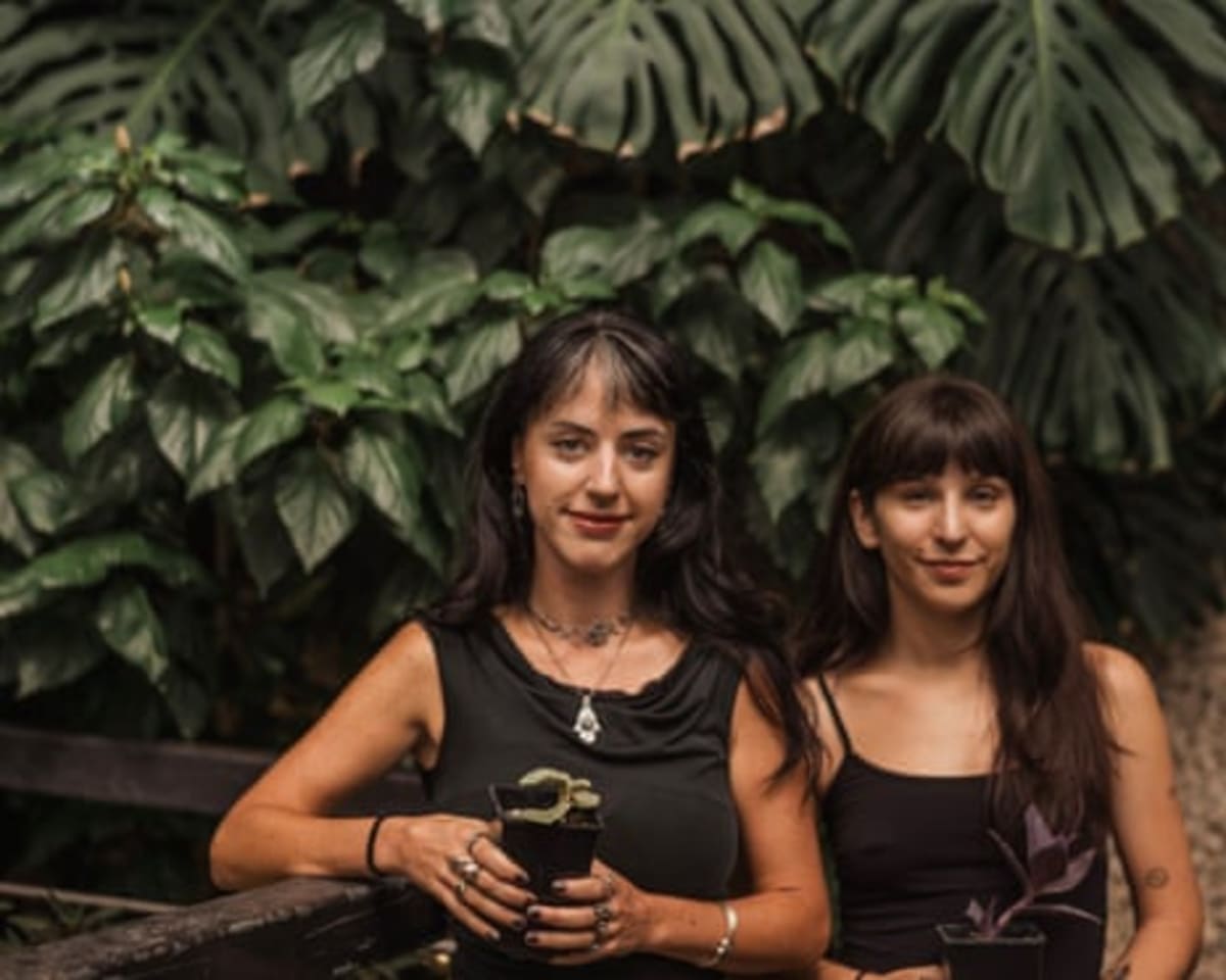 London's Barbican Gives Away 1,500 Free Plant Cuttings - Image 3