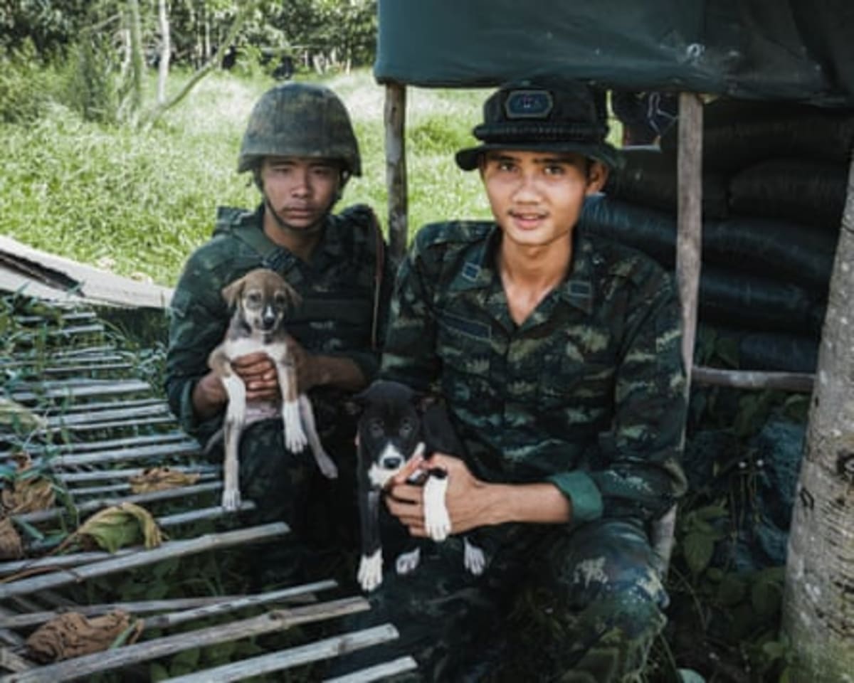 Thailand's Rescue Network Saves Millions of Street Animals - Image 4