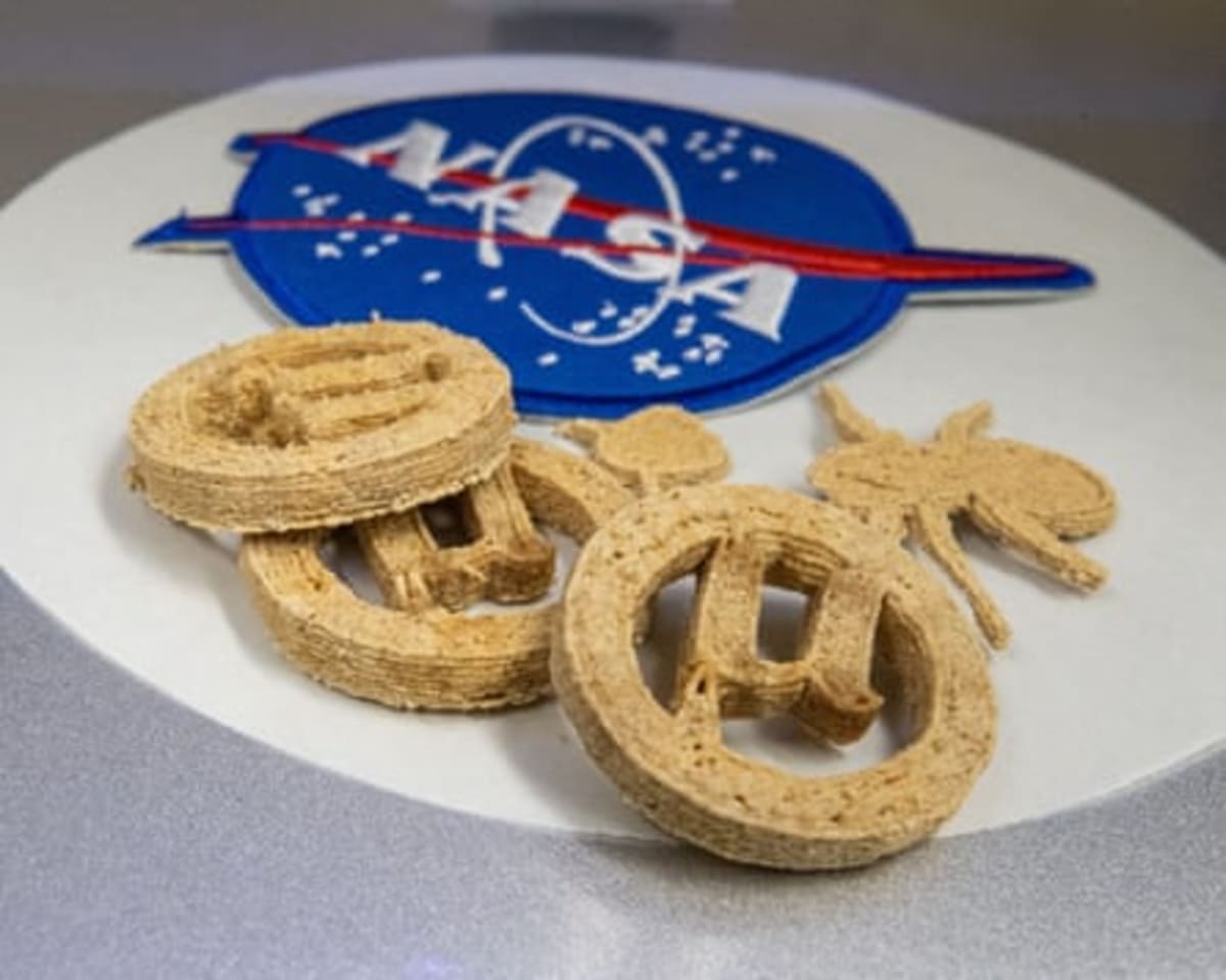 Scientists Turn Plastic Waste Into Food for Space Travel - Image 4