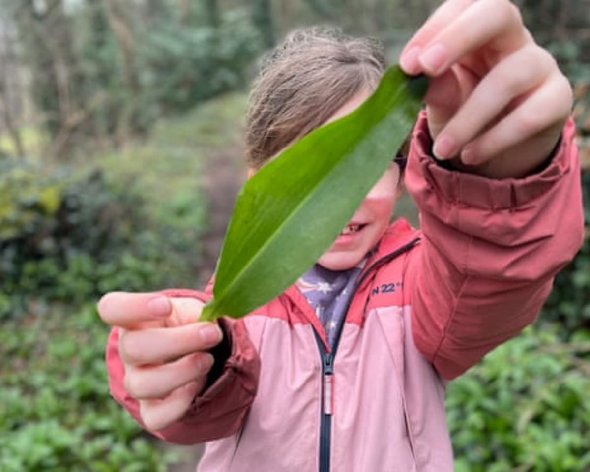 Guardian Pays Kids to Write About Nature This Spring - Image 3