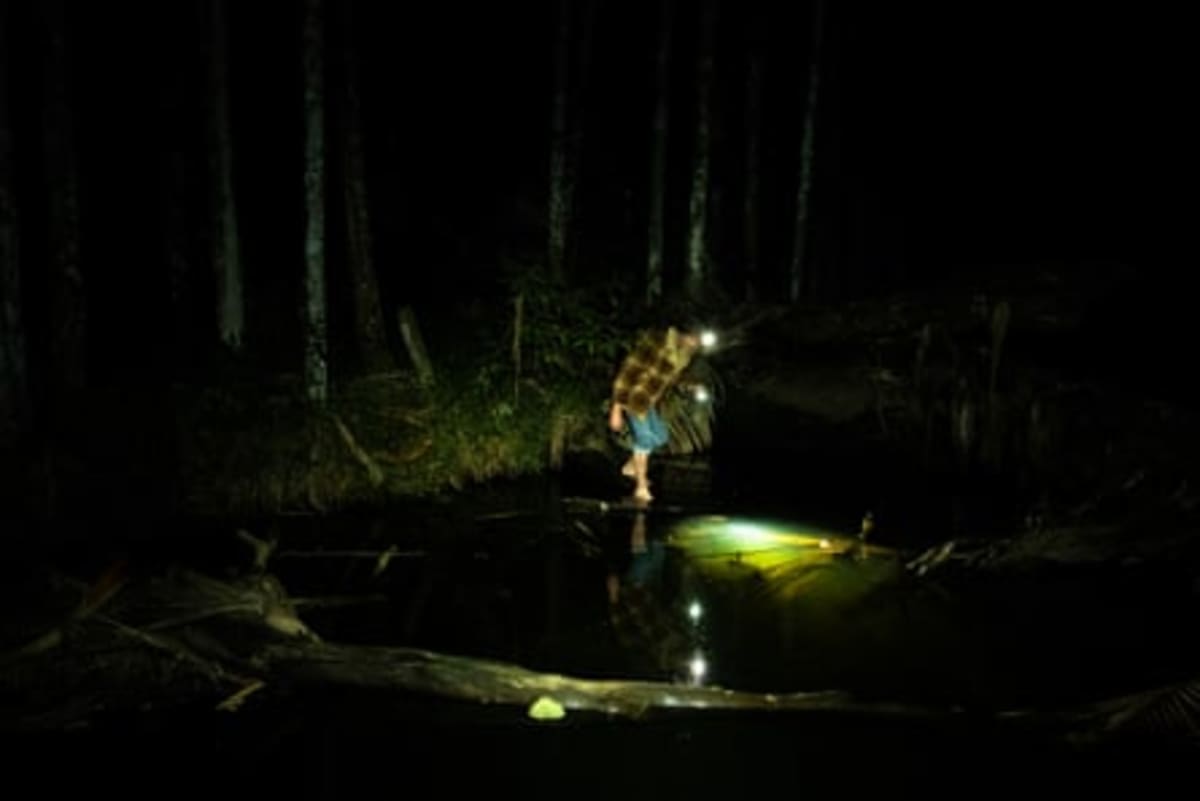 Australia Saves 36 Ancient Crayfish Species From Extinction - Image 4