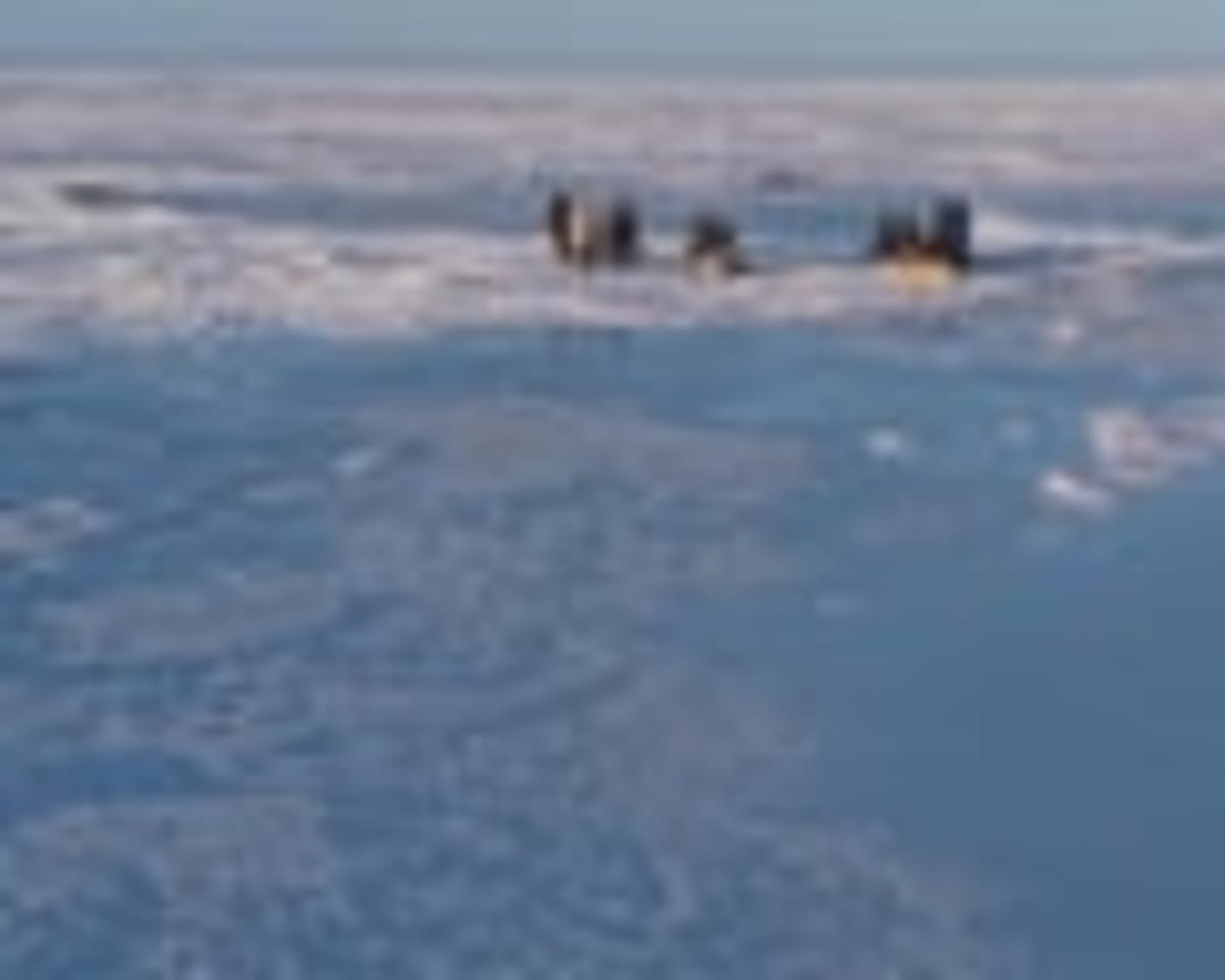 Scientists Add 50cm of Ice to Arctic in Bold Experiment - Image 3