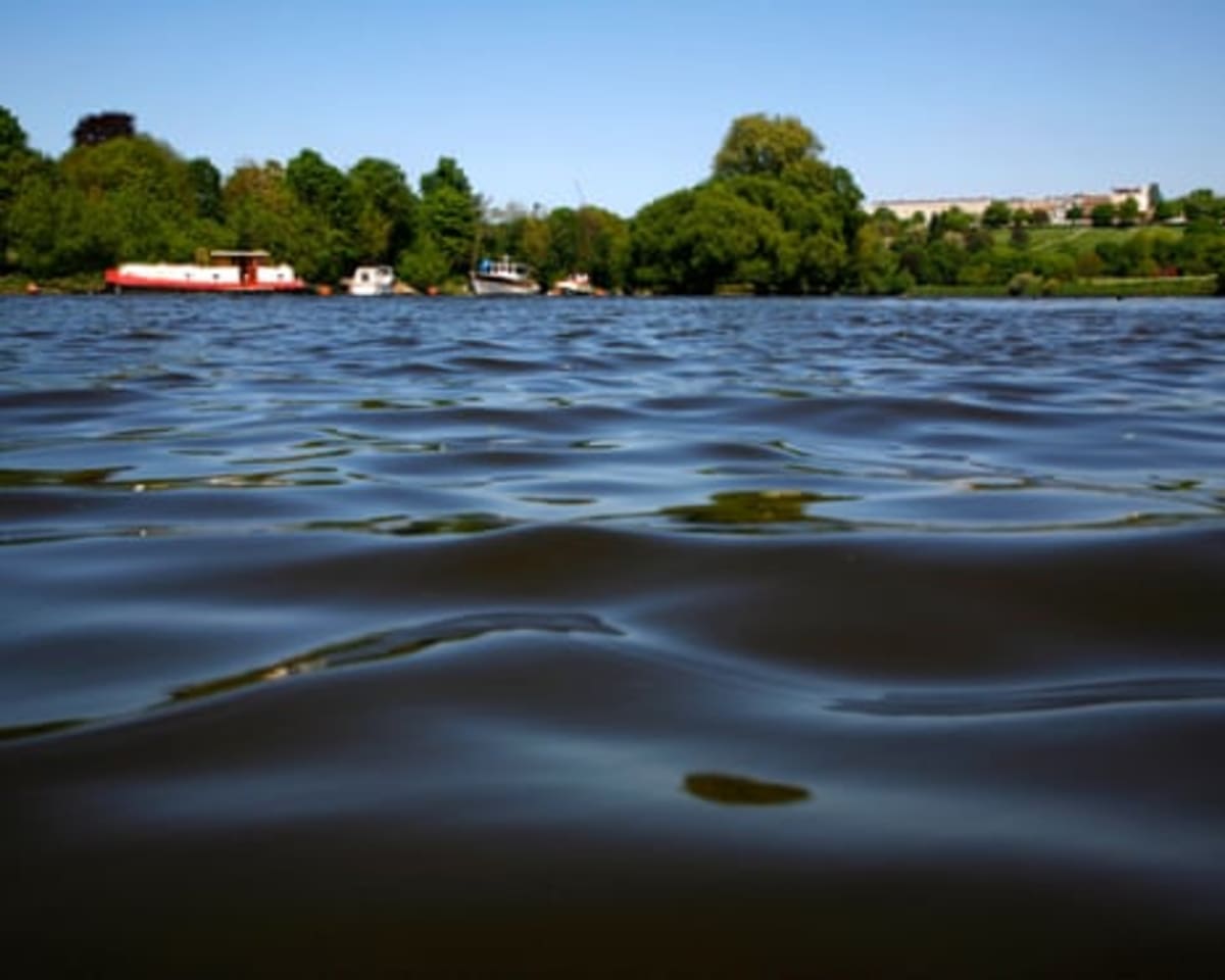 River Thames Gets London's First Official Swimming Spot - Image 3