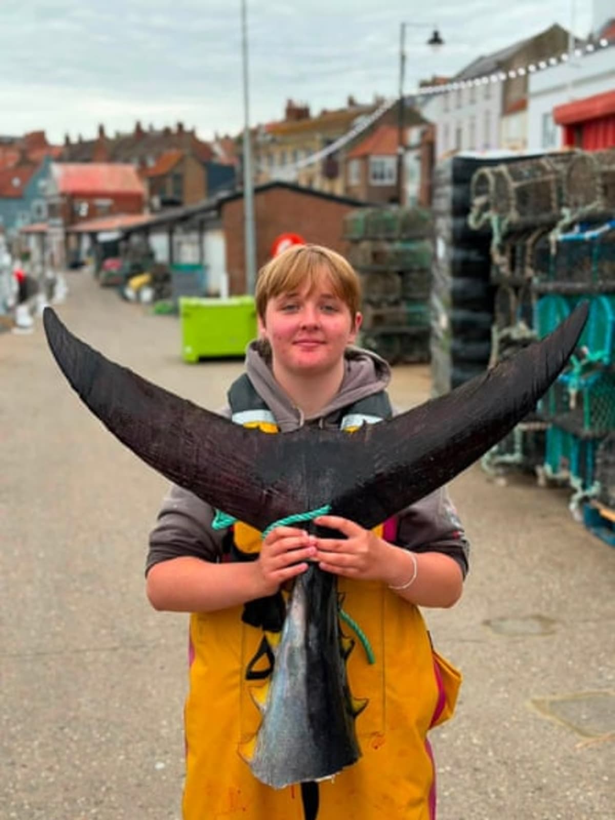 Giant Bluefin Tuna Return to Yorkshire After 60 Years - Image 4