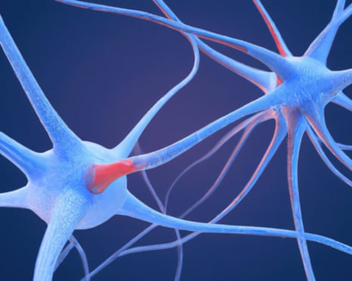 Scientists Find Brain Signature Shared by 5 Psychedelics - Image 3