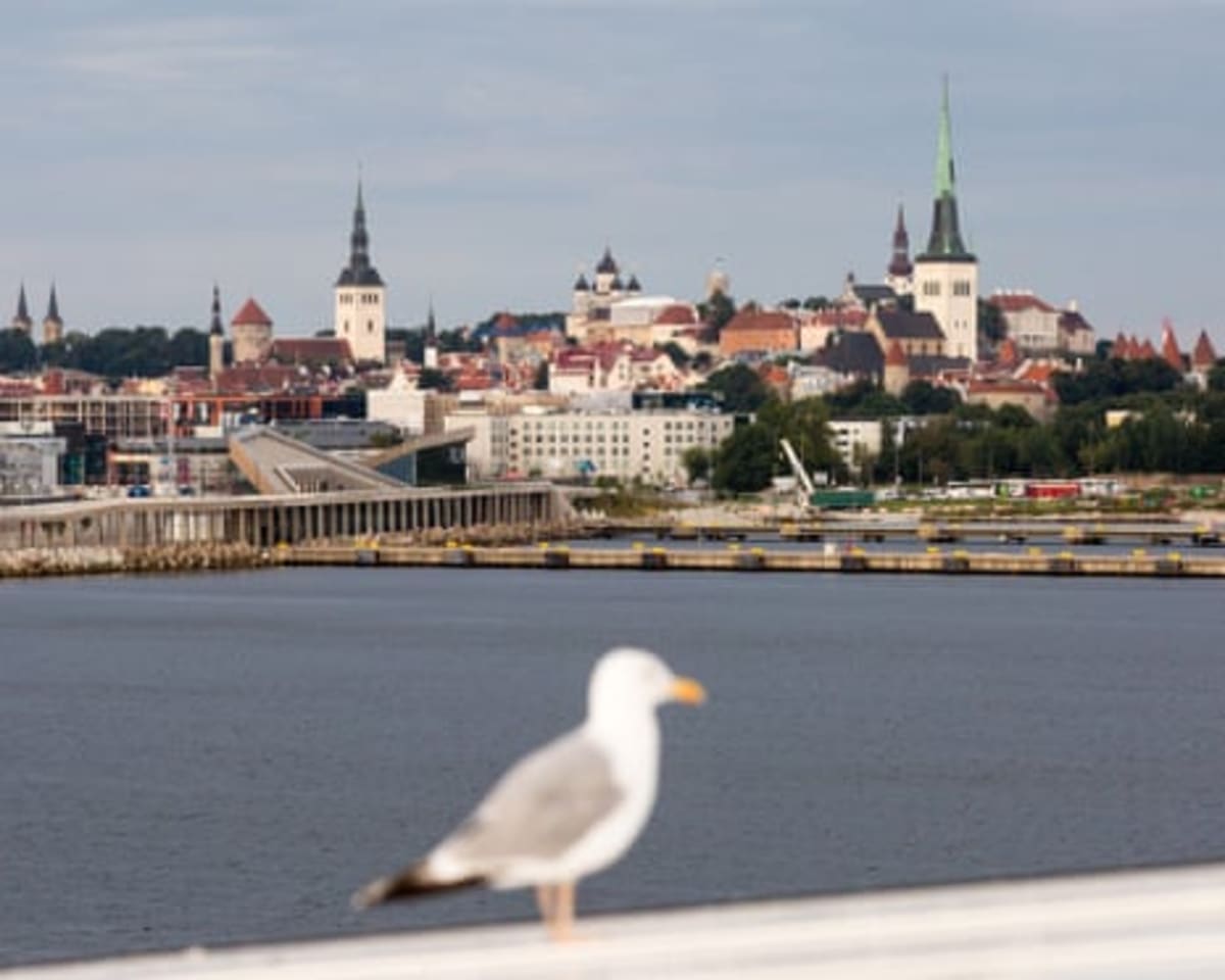 Estonia Leads World Climate Progress in Yale Study - Image 3