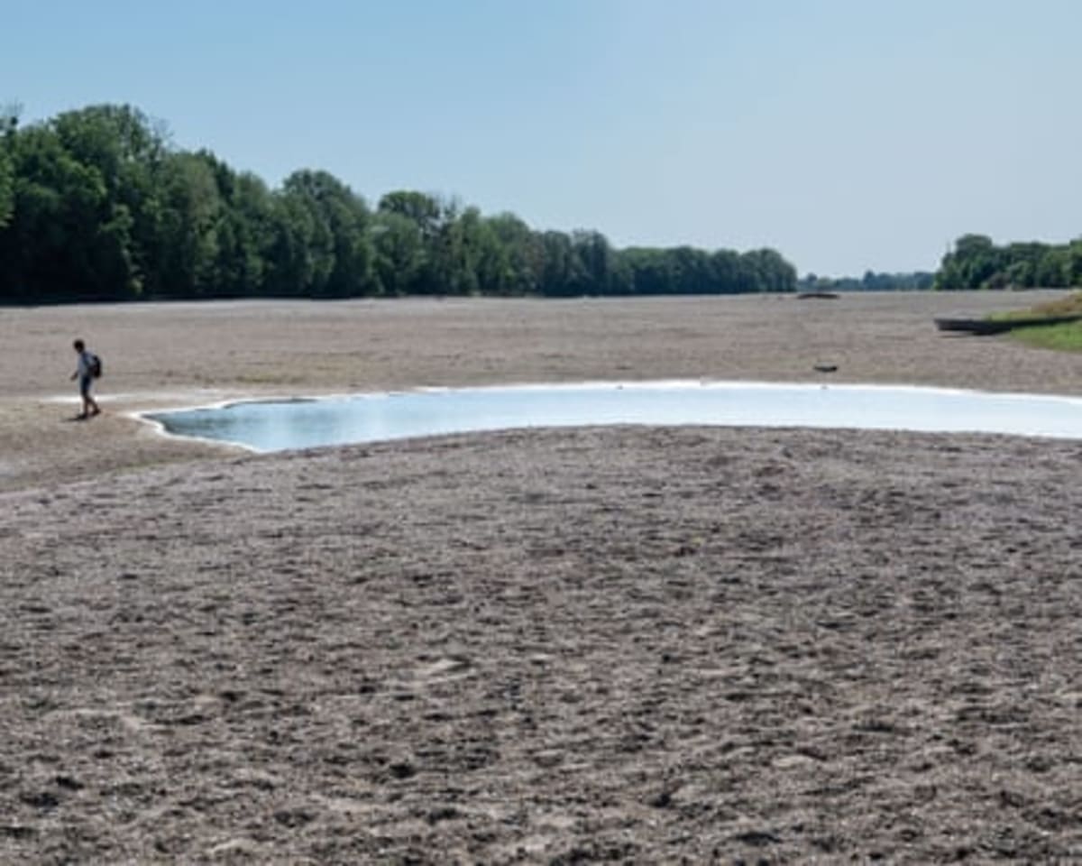 French Volunteers Rescue Thousands of Fish From Dried Rivers - Image 5