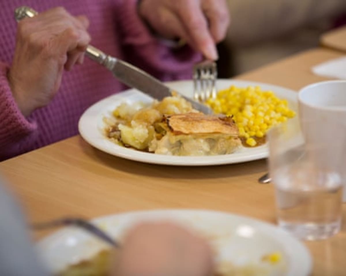 When You Eat May Protect Your Brain, Study Finds - Image 3