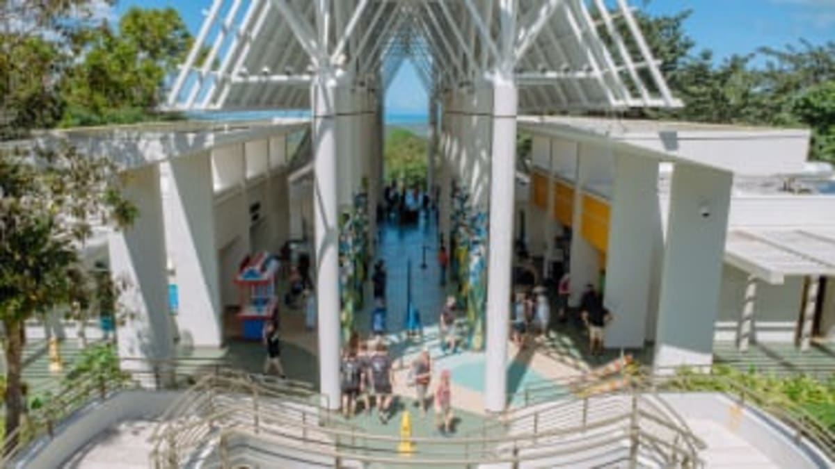 Puerto Rico Rainforest Center Rebuilt for Future Disasters - Image 4