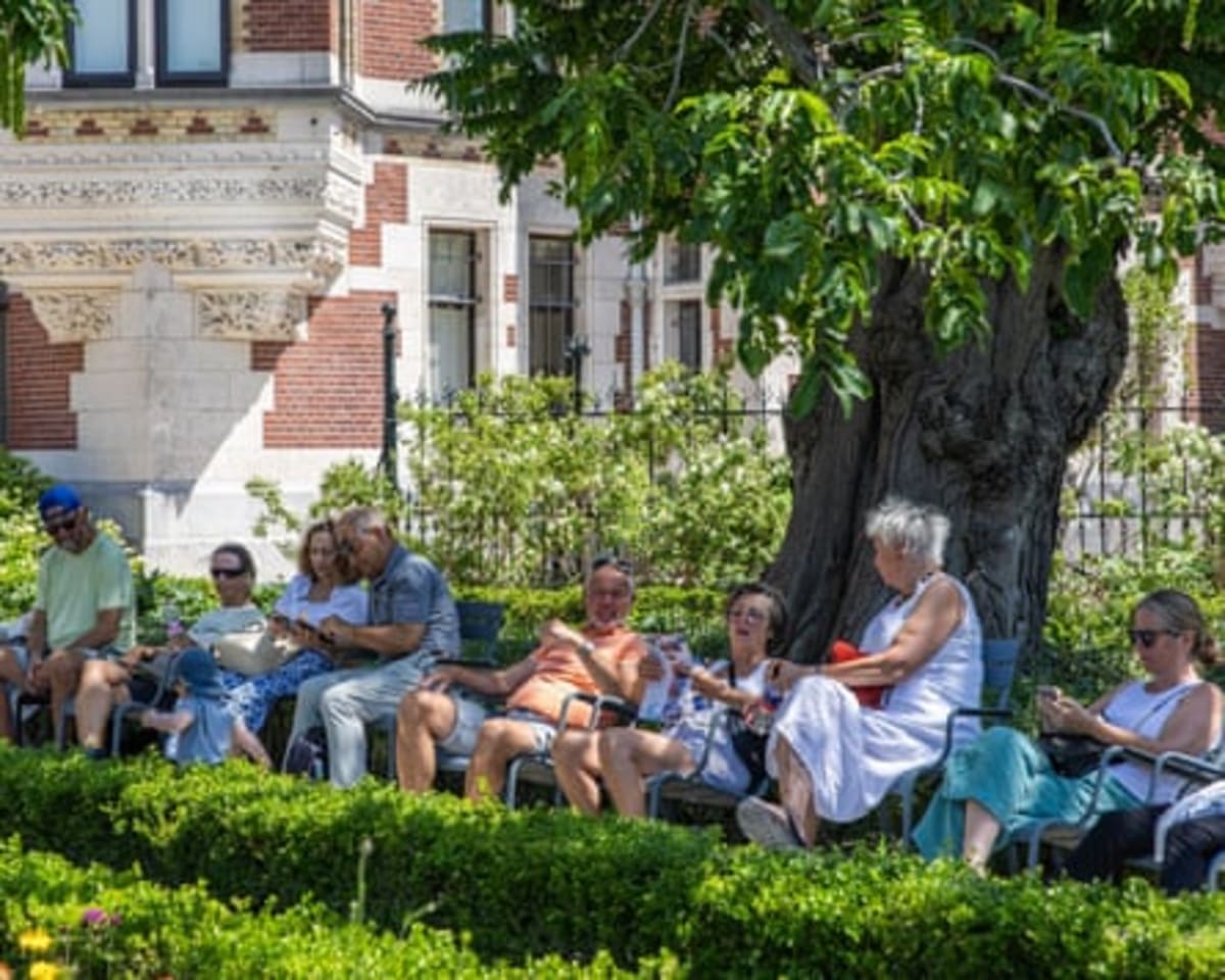 Dutch Cities Fight Heat With Outdoor Curtains and Fake Trees - Image 4