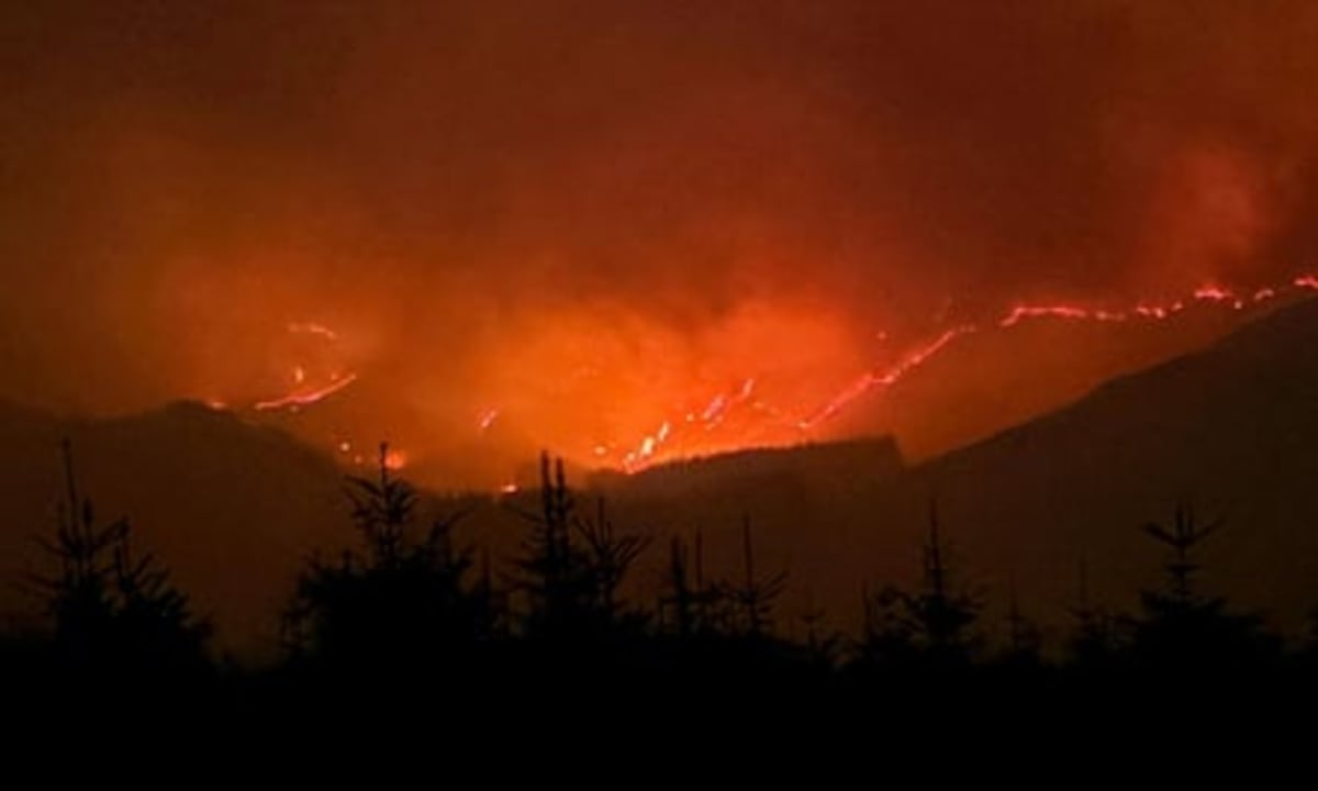 Global Wildfire Area Drops to Near-Record Low in 2025 - Image 4