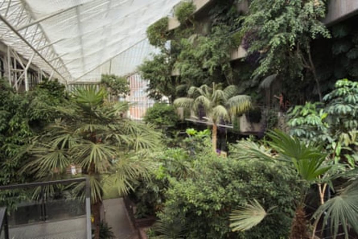 London's Barbican Gives Away 1,500 Free Plant Cuttings - Image 4