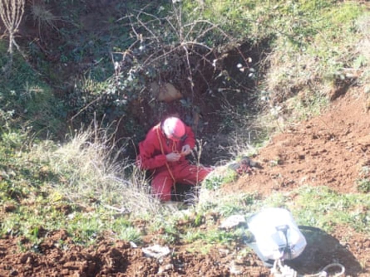 Giant Ice Age Echidnas Found After 120 Years in Storage - Image 5