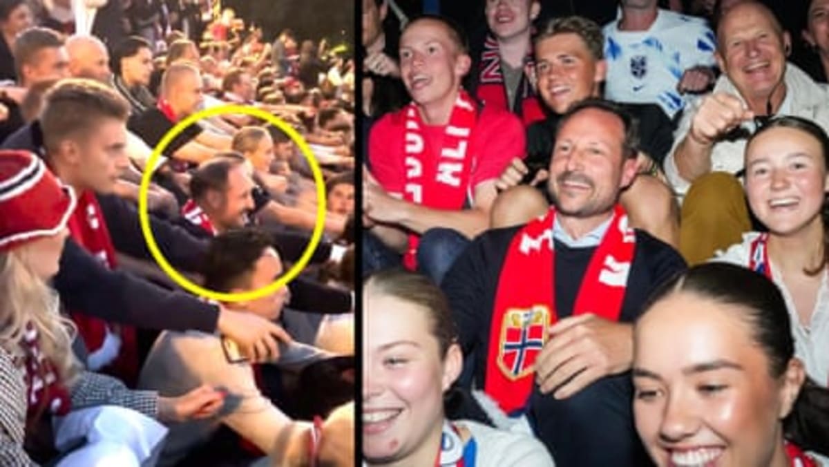 Norway Beats Brazil 2-1, Crown Prince Joins 100K Fans - Image 4