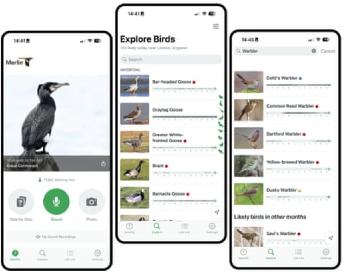 Merlin App's 40M Users Now Power Global Bird Conservation - Image 4