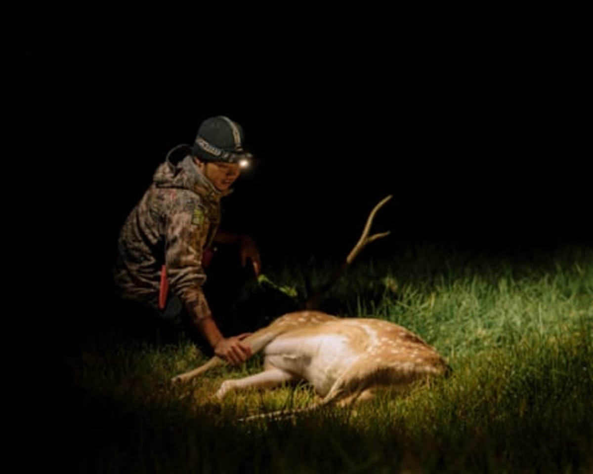 Hawaii Turns Invasive Deer Into Sustainable Food Source - Image 3