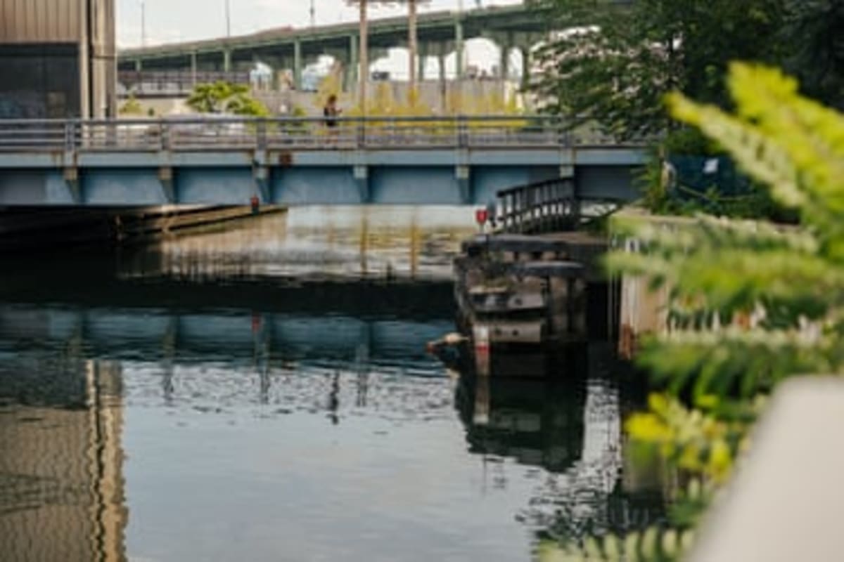 Brooklyn's Toxic Gowanus Canal Gets Green Transformation - Image 3